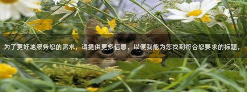 开丰娱乐：为了更好地服务您的需求，请提供更多信息，以便我能为您找到符合您要求的标题。