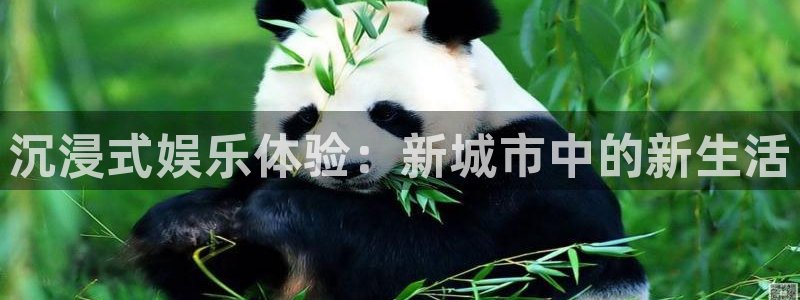 开丰娱乐168：沉浸式娱乐体验：新城市中的新生活