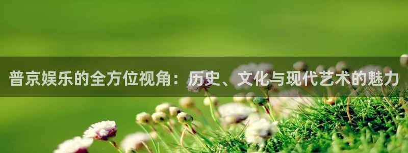 开丰娱乐地址：普京娱乐的全方位视角：历史、文化与现代艺术的魅力