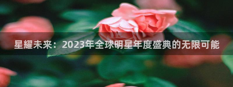 开丰娱乐：星耀未来：2023年全球明星年度盛典的无限可能
