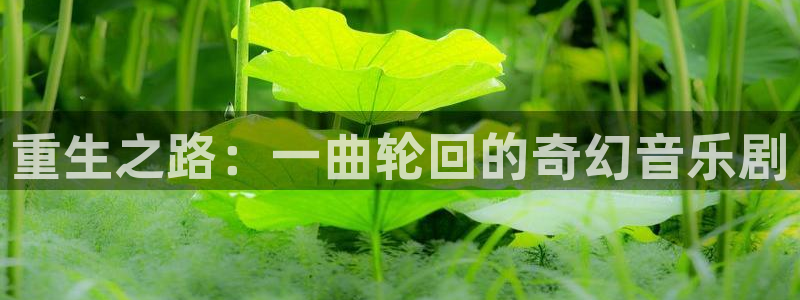 开丰娱乐168：重生之路：一曲轮回的奇幻音乐剧