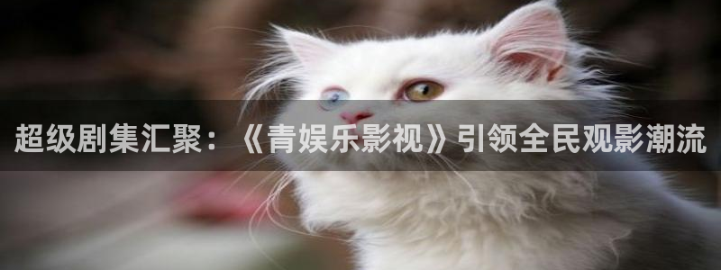 开丰娱乐：超级剧集汇聚：《青娱乐影视》引领全民观影潮流