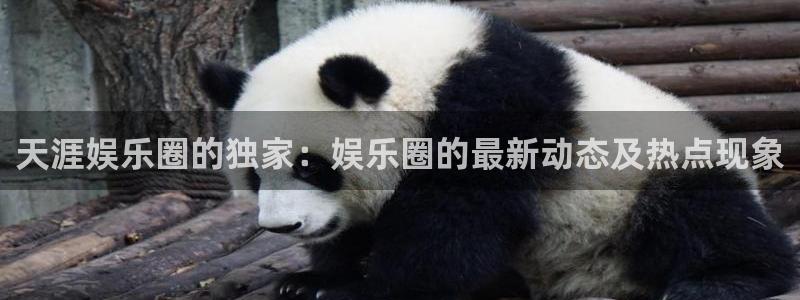 开丰娱乐地址：天涯娱乐圈的独家：娱乐圈的最新动态及热点现象